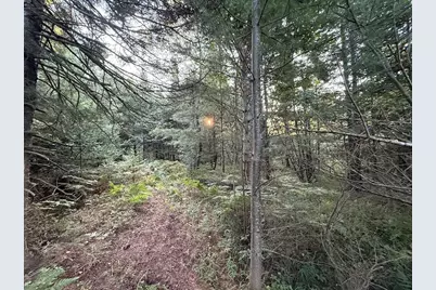 3379 Hehir Trail, Grayling, MI 49738 - Photo 35