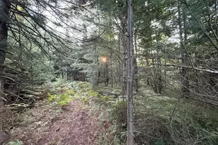 3379 Hehir Trl, Grayling, MI 49738 - Photo 35
