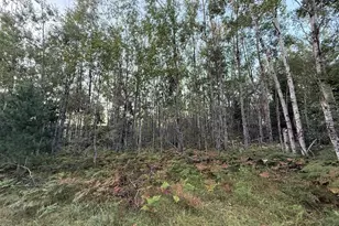 3379 Hehir Trl, Grayling, MI 49738 - Photo 19