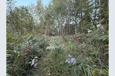 3379 Hehir Trail, Grayling, MI 49738 - Photo 15
