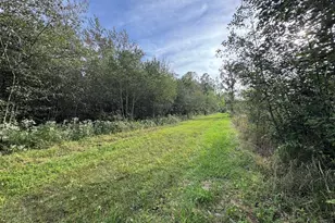 5045 N M30, Gladwin, MI 48624 - Photo 79