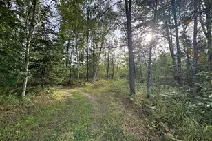 5045 N M30, Gladwin, MI 48624 - Photo 139