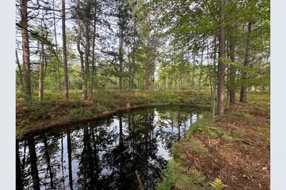 5045 N M30, Gladwin, MI 48624 - Photo 49