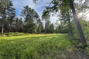 5045 N M30, Gladwin, MI 48624 - Photo 93