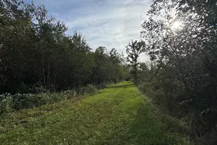 5045 N M30, Gladwin, MI 48624 - Photo 143
