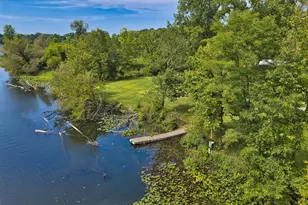 299 Rodeo Dr, Union City, MI 49094 - Photo 43