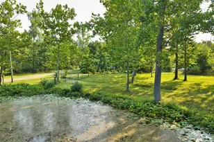 299 Rodeo Dr, Union City, MI 49094 - Photo 53