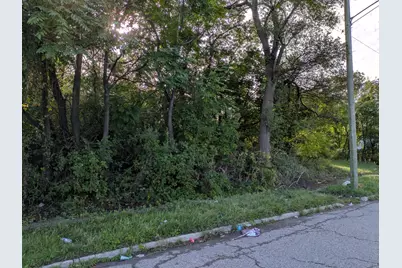 17280 Dequindre Street, Detroit, MI 48212 - Photo 9