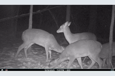 Valpine Dr, Battle Creek, MI 49017 - Photo 11
