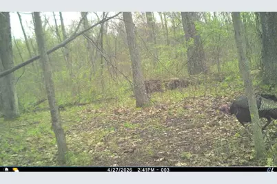 Valpine Dr, Battle Creek, MI 49017 - Photo 15