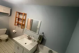 831 S Alexander St, Greenville, MI 48838 - Photo 19