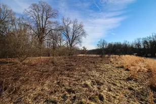 Shorewood Lot 1 Dr, Three Rivers, MI 49093 - Photo 1