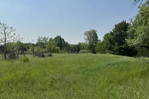 6294 100th Ave, Evart, MI 49631 - Photo 173
