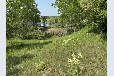6294 100th Avenue, Evart, MI 49631 - Photo 175