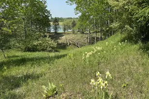 6294 100th Ave, Evart, MI 49631 - Photo 175