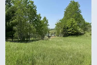 6294 100th Avenue, Evart, MI 49631 - Photo 167