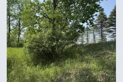 6294 100th Avenue, Evart, MI 49631 - Photo 163