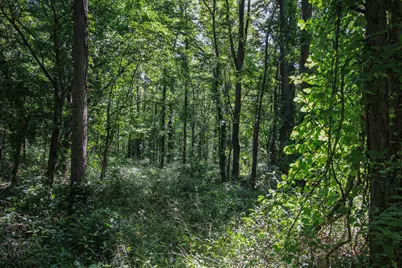 V/L Millard Road, Three Rivers, MI 49093 - Photo 17