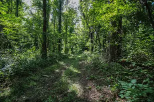 V/L Millard Rd, Three Rivers, MI 49093 - Photo 1