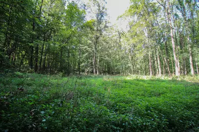 V/L Millard Road, Three Rivers, MI 49093 - Photo 11