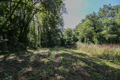 V/L Millard Road, Three Rivers, MI 49093 - Photo 9