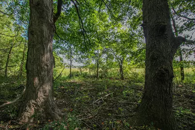 V/L Millard Road, Three Rivers, MI 49093 - Photo 15