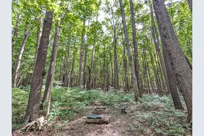 32422 County Road 687, Bangor, MI 49013 - Photo 23