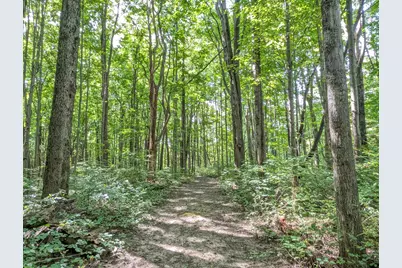 32422 County Road 687, Bangor, MI 49013 - Photo 19