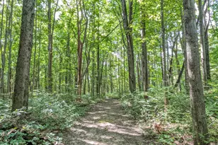 32422 Co Rd 687, Bangor, MI 49013 - Photo 19