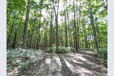 32422 County Road 687, Bangor, MI 49013 - Photo 21
