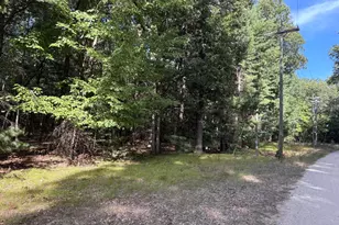 Lot 136 Wayne Ave, Pentwater, MI 49449 - Photo 1