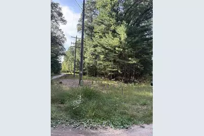 Lot 136 Wayne Avenue, Pentwater, MI 49449 - Photo 3