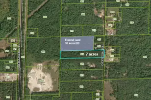 1277 S Walnut Ave, White Cloud, MI 49349 - Photo 1