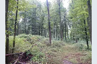 29650 D Drive S, Albion, MI 49224 - Photo 27