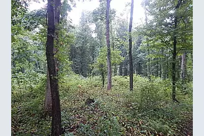 29650 D Drive S, Albion, MI 49224 - Photo 25