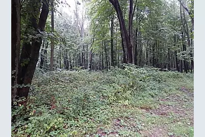 29650 D Drive S, Albion, MI 49224 - Photo 31