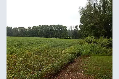 29650 D Drive S, Albion, MI 49224 - Photo 5