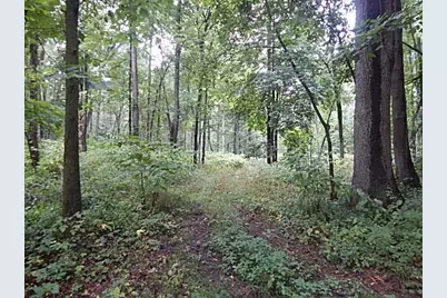29650 D Drive S, Albion, MI 49224 - Photo 35