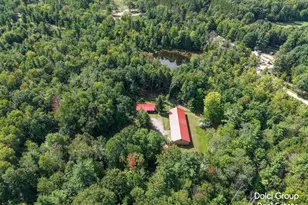 8172 S Frank Smith Rd, Chase, MI 49623 - Photo 37