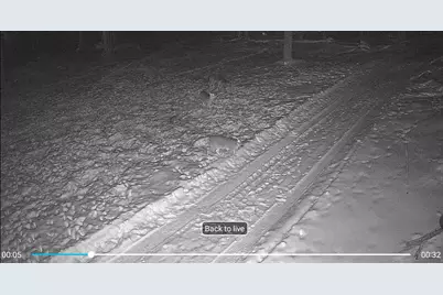 5888 Us-10, Chase, MI 49623 - Photo 39