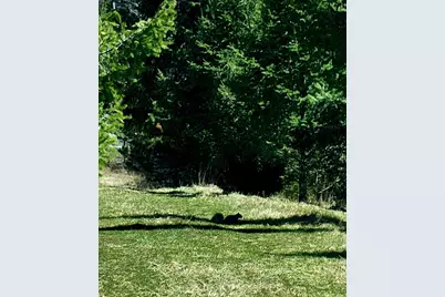 V/L Bischoff Road, Arcadia, MI 49613 - Photo 11