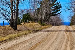 V/L Bischoff Rd, Arcadia, MI 49613 - Photo 1