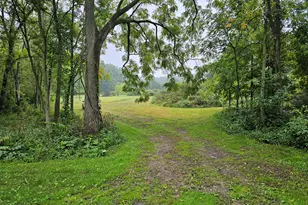 0 Vrooman Rd, Jackson, MI 49201 - Photo 1