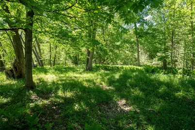 0 V/L W Fern Glen, Fremont, MI 49412 - Photo 11