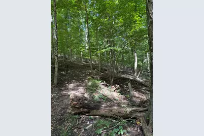 0 V/L W Fern Glen, Fremont, MI 49412 - Photo 19