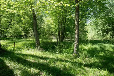 0 V/L W Fern Glen, Fremont, MI 49412 - Photo 9