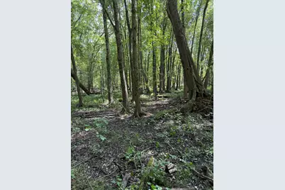 0 V/L W Fern Glen, Fremont, MI 49412 - Photo 17