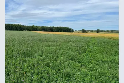 Vining Road, Lakeview, MI 48850 - Photo 3
