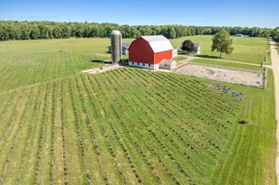 21310 Cutler Rd, Howard City, MI 49329 - Photo 93