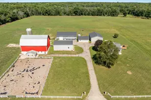 21310 Cutler Rd, Howard City, MI 49329 - Photo 87